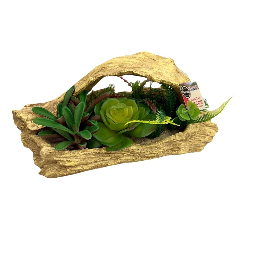 Thrive Habitat Decor Terrarium Driftwood Succulent Plant Resin Reptile Enclosure